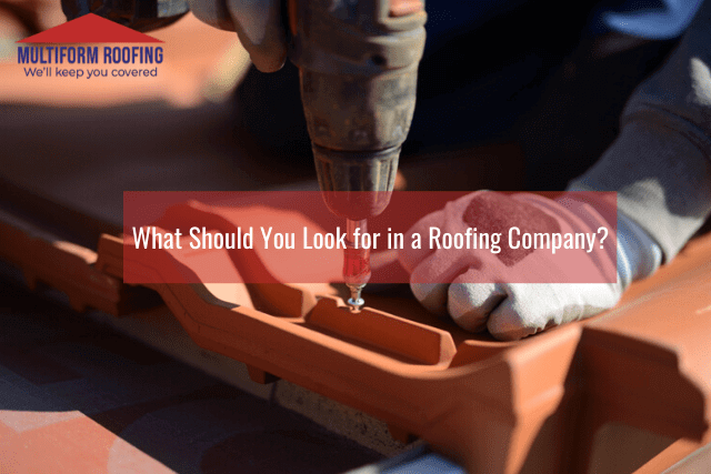 What Should You Look for in a Roofing Company