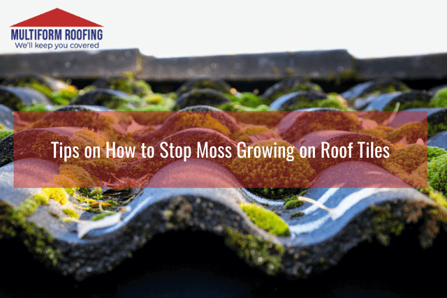 Tips on How to Stop Moss Growing on Roof Tiles
